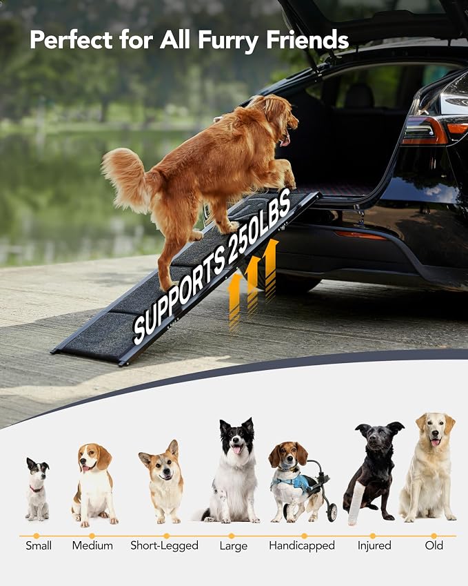 Dog Ramp for Car, 71" L × 19.7" W, Extra-Long Extra-Wide Foldable | Extra-Long for a Gentler Climb, Extra-Wide for a Safer Climb, Non-Slip Rug Surface, 250-lb Capacity