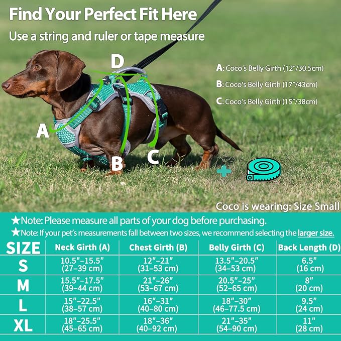Escape Proof Dog Harness, Dachshund Harness, Reflective Dog Harness with Handle, Durable,Adjustable Vest for Small Medium Large Dogs Walking, Training, and Running Gear (Mint Green,XL)