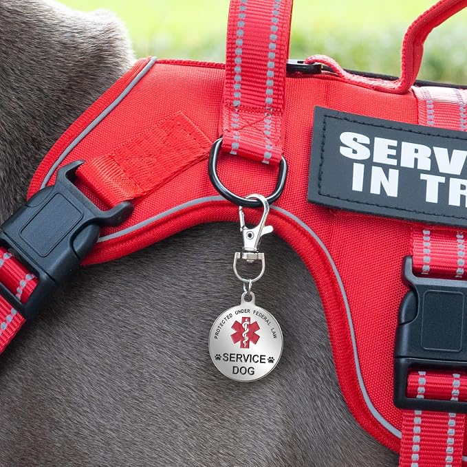 Service Dog Harness + ID Tag 50 ADA Information Cards - No Pull Dog Vest 10 PCS Removable Patches - Reflective Emotional Support Animal Vest for Large Dogs - Adjustable Breathable ESA Training Vest