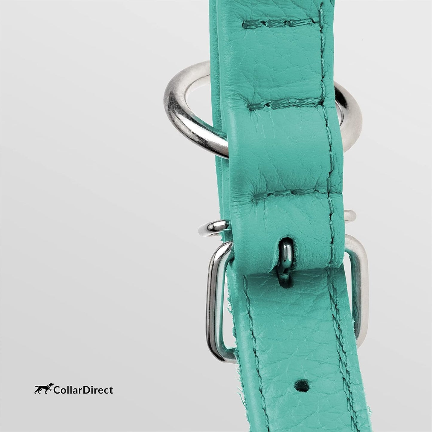 CollarDirect Rolled Leather Dog Collar, Soft Padded Round Puppy Collar, Handmade Genuine Leather Collar Dog Small Large Cat Collars 13 Colors (8-11 Inch, Mint Green Textured)