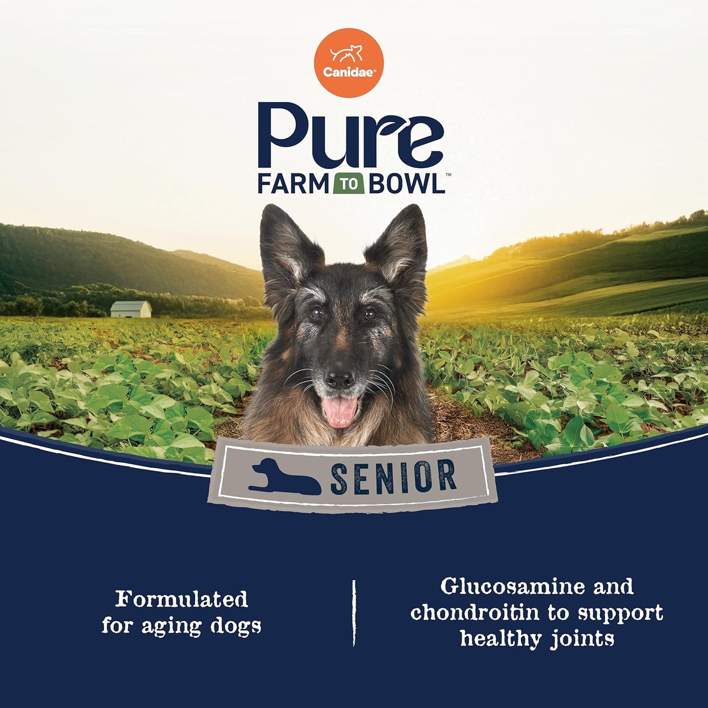 Canidae Pure Farm to Bowl Free-Range Chicken, Sweet Potato & Garbanzo Bean Grain-Free Senior Dog Food, Adult 12lb