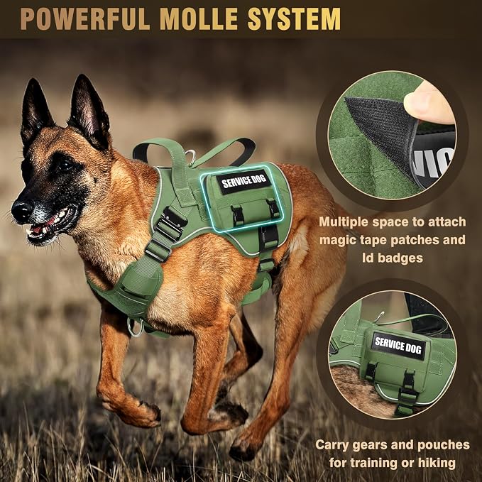 Tactical Dog Harness for Medium Dog, Heavy Duty Service Working MOLLE Vest with 10 Pet Patches, 2X Metal Buckle Vest for Training Hunting Walking