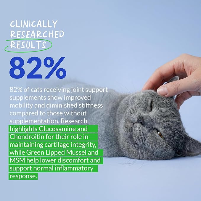 Hip and Joint Supplement for Cats - Glucosamine Powder with Green Lipped Mussel, MSM, Chondroitin, and Vitamin E - 4.23oz/120g