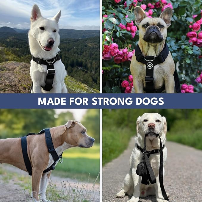 Spark Paws Comfort Control No Pull Dog Harness - Heavy Duty Front Clip | Safety Tested for Strong Breeds, w/ Metal Buckle & Top Handle – Padded Y-Straps Redirect Pulling. Solo or Matching Leash Set