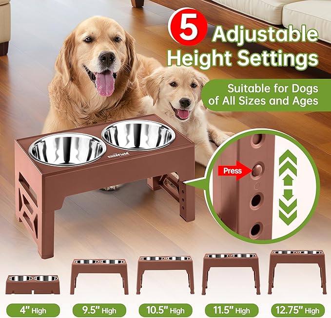 EliteField Elevated Dog Bowls, 2 Stainless Steel Bowls (2-Year Warranty) | 58 oz Bowls, 5 Adjustable Heights, Small to Large Dogs, Foldable, Dishwasher Safe, Anti-Slip Feet