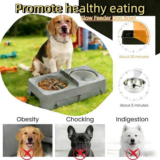 3-in-1 Elevated Slow Feeder and Water Bowls for Dogs, 4 Height Adjustable Raised, Separate Dry and Wet Areas, Prevent Water Overflow, Foldable Pet Bowl
