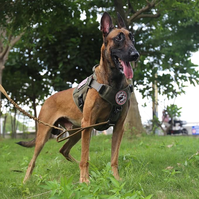 ICEFANG Tactical Dog Harness for Large Dogs,Reflective No Pull Dog Vest | with Control Handle,Adjustable,Front Hook,2 Leash Clips,Soft Padded,MOLLE Panel,Green,Large