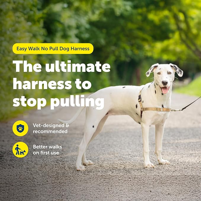 PetSafe Easy Walk Harness, No Pull Dog Harness, Fawn, Medium/Large | Patented Martingale Loop Gives Gradual Shoulder Pressure to Stop Pulling, Front-Chest Leash Clip Prevents Gagging