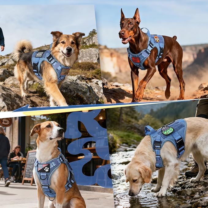 rabbitgoo Tactical Dog Harness for Medium, Heavy Duty Military No Pull Vest | Sturdy Metal Buckles, 5 Adjustments, Molle System, Powerful Pullers for Training, Hunting, Outdoor, Blue Reflex, Medium