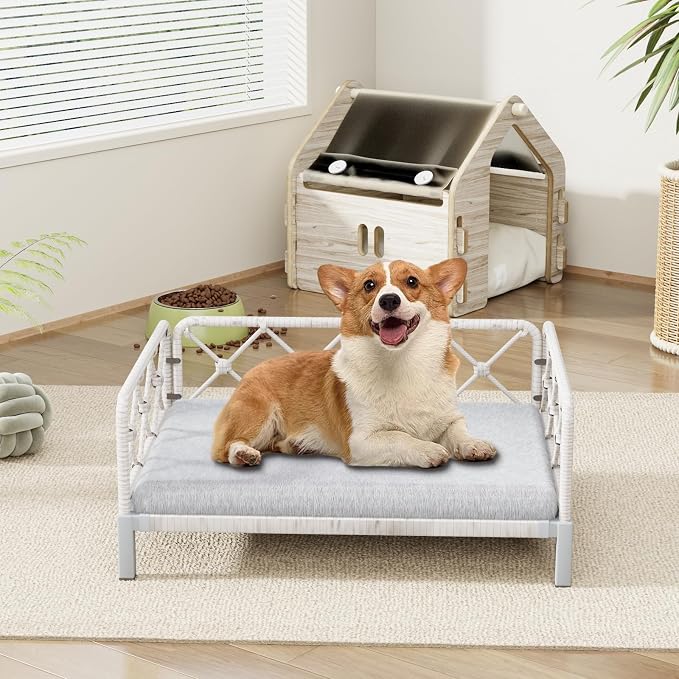 Indoor & Outdoor Dog Bed, Elevated All-Weather Wicker Pet Sofa with Washable Waterproof Cushion, Durable Rattan Dog Couch for Small Dogs, White Rattan/Grey Mat