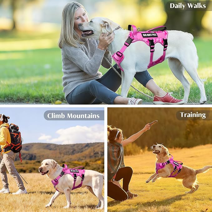 Escape Proof Dog Harness with Double Handle+4 Removable Patches | Service Working Molle Harness with Double Handle for Large Dogs, Tactical Pet Reflective Vest for Walking Hiking Hunting