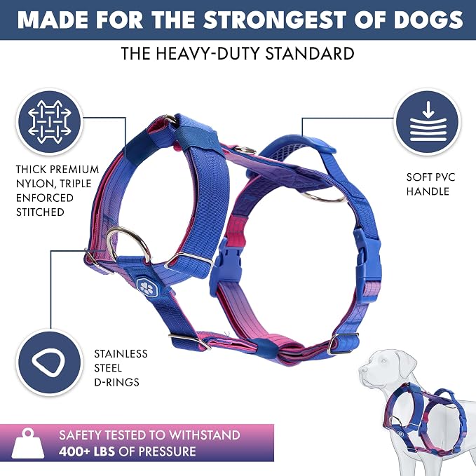 Spark Paws Comfort Control No Pull Dog Harness - Heavy Duty Front Clip | Safety Tested for Strong Breeds, w/ Metal Buckle & Top Handle – Padded Y-Straps Redirect Pulling. Solo or Matching Leash Set