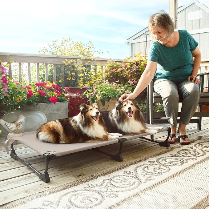 Upgraded Non-Slip Daisy Cot, XL Foldable Elevated Dog Bed, Portable Raised Outdoor Folding Dog Cot for Camping/Home, Chew Proof Waterproof Heavy Duty Up to 160 Lbs, Brown, 49"x 33"