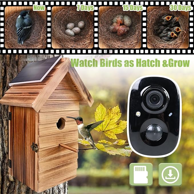 Smart Bird House with Camera, 2.4G WiFi & App Alerts, 160° Wide View 1080P HD Wireless Birdhouse, Auto Capture Bird Video & Motion Detection, Smart Bird House Camera Solar Powered (Dark, Normal)