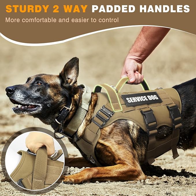 Tactical Dog Harness with Dog Leash, Service Working MOLLE Vest with 10 Pet Patches for Large Dog, No Pull Military Harness and Backpack for Training Hunting Walking