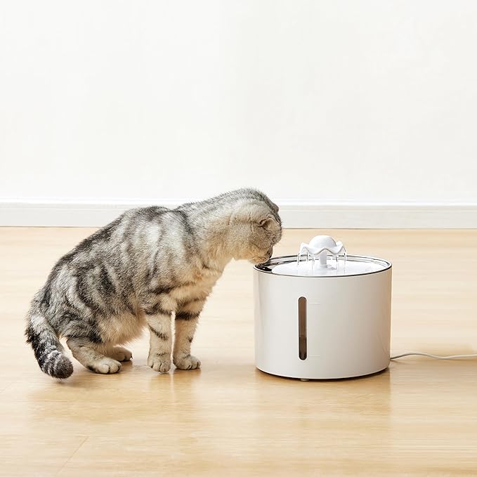 Amazon Basics Pet Water Fountain with Stainless Steel Top, 3L ,White (3 Filters included)