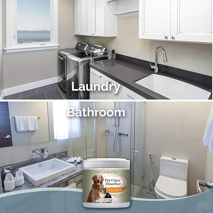 SMELLS BEGONE 15oz Gel Pet Odor Eliminator - Absorb & Remove Strong Odors from Pets, Cat Litter, Dog Poop, Urine Smells - Eliminate Whole Home Odors with Essential Oils (2-Pack, Pet Citrus)