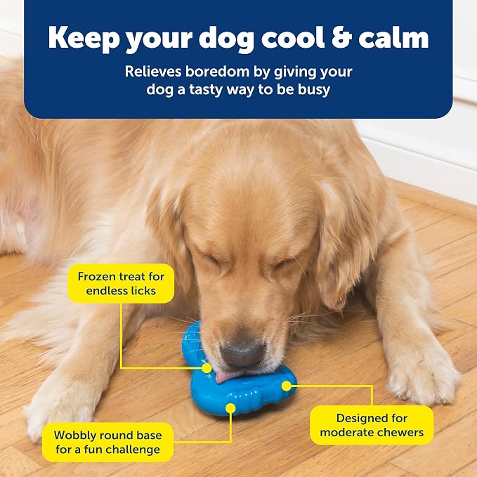 PetSafe Chilly Penguin Freezable Treat Holding Dog Toy, Medium/Large | Fill with Frozen Treats Like Peanut Butter or Wet Dog Food, Vanilla-Scented and Stackable Design, Top-Shelf Dishwasher Safe