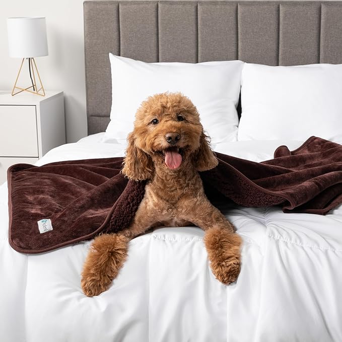 PetAmi Waterproof Dog Blanket Sherpa Fleece, Pet Small Medium Dogs, Reversible Large Cat Throw Bed Couch Sofa Furniture Protector, Soft Plush Microfiber (Medium 29x40, Brown), (29x40)