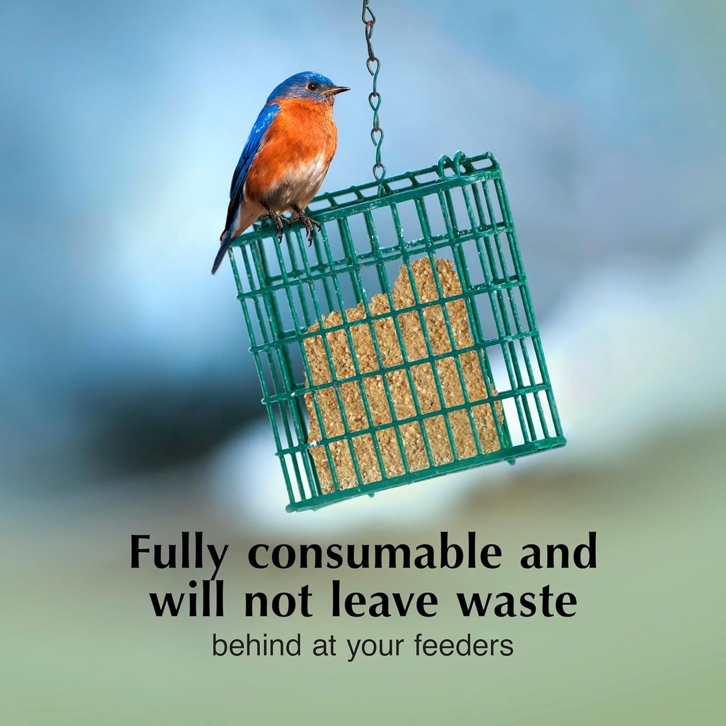 C&S Mealworm Delight No Melt Suet Dough, Suet Cakes for Wild Birds, 11.75 Ounces, Pack of 8