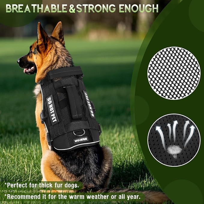 Tactical Molle Vest Mesh Dog Harness with 10 Removale Pet Patches | Breathable Service Dog harness with Double Soft Padded Handle for Small Dog, Reflective Military Pet Vest for Walk Hiking