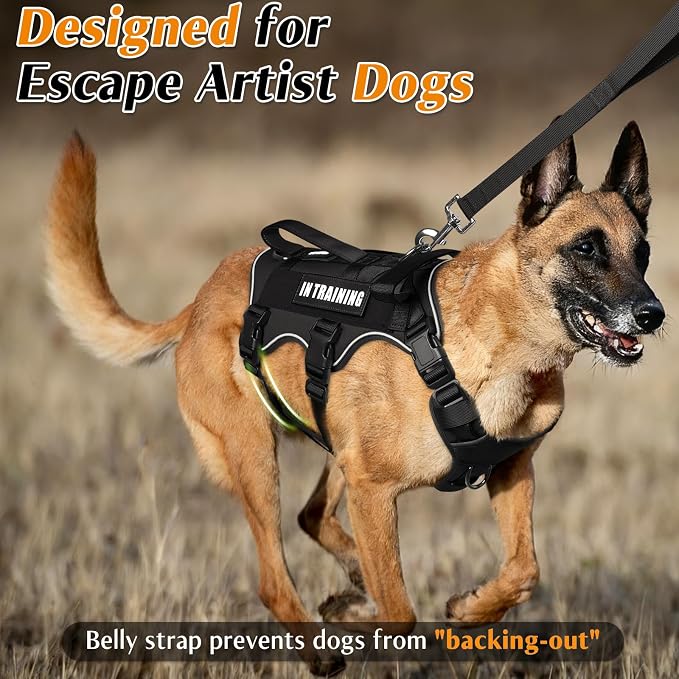Escape Proof Dog Harness with Double Handle+4 Removable Patches | Service Working Molle Harness with Double Handle for Small Dogs, Tactical Pet Reflective Vest for Walking Hiking Hunting