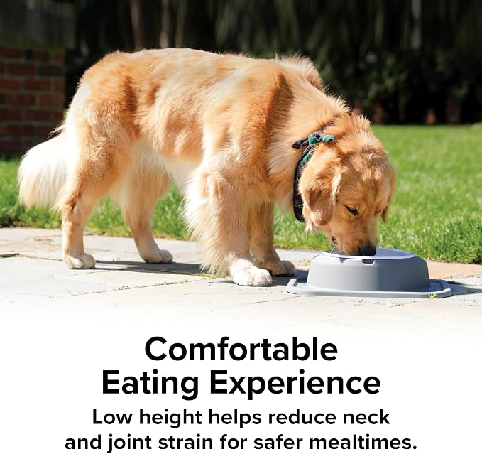 WeatherTech Single Low Pet Feeding System - Heavy-Duty Dog & Cat Food/Water Bowl - 32 oz (4 Cups) Dark Grey (SL3203DG)