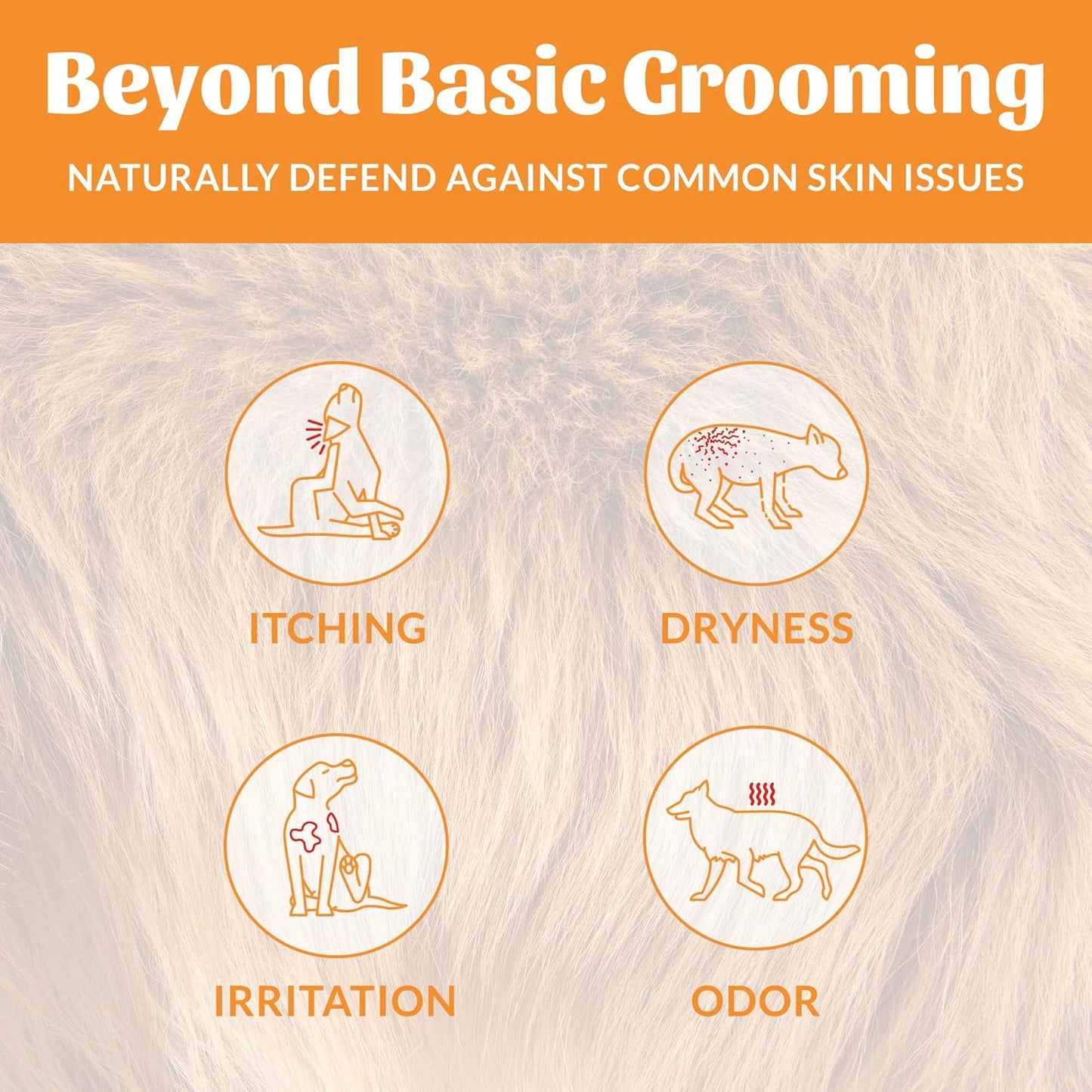 SKOUT'S HONOR Probiotic Pet Deodorizer Spray- Hydrating Daily-Use with Avocado Oil & Omega-3s, Microbiome Friendly Certiified, Paraben & Sulfate-Free, 97% Natural, 8oz, Honeysuckle, 2-Pack