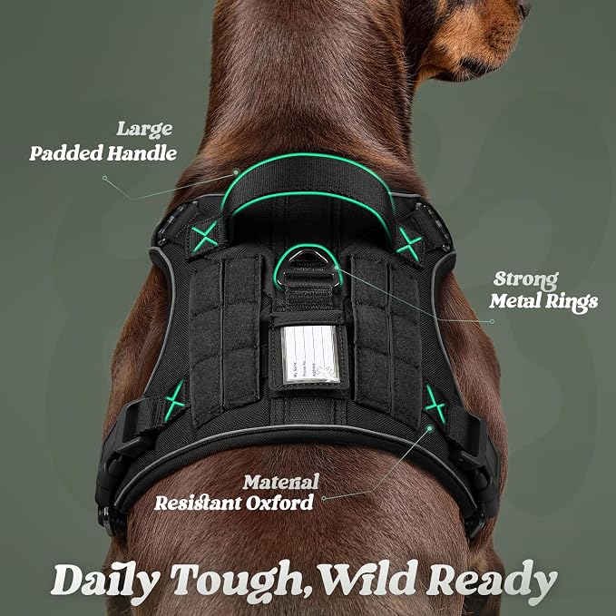 rabbitgoo Tactical Dog Harness for Large Dogs, No Pull Service Pet Vest | Military Molle System & Easy Control Handle, Adjustable and Reflective for Walking and Training, Black, Large
