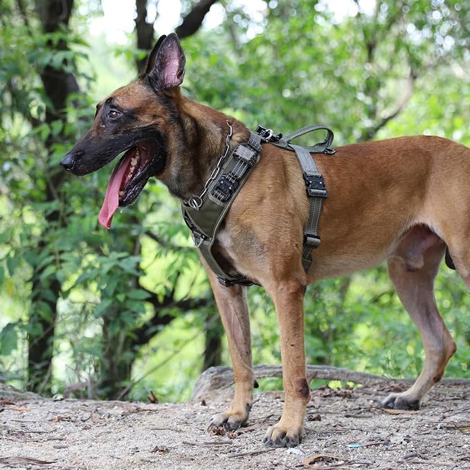 ICEFANG Dog Halter Harness with Metal Buckles,Dog Strap Vest for Medium Dogs