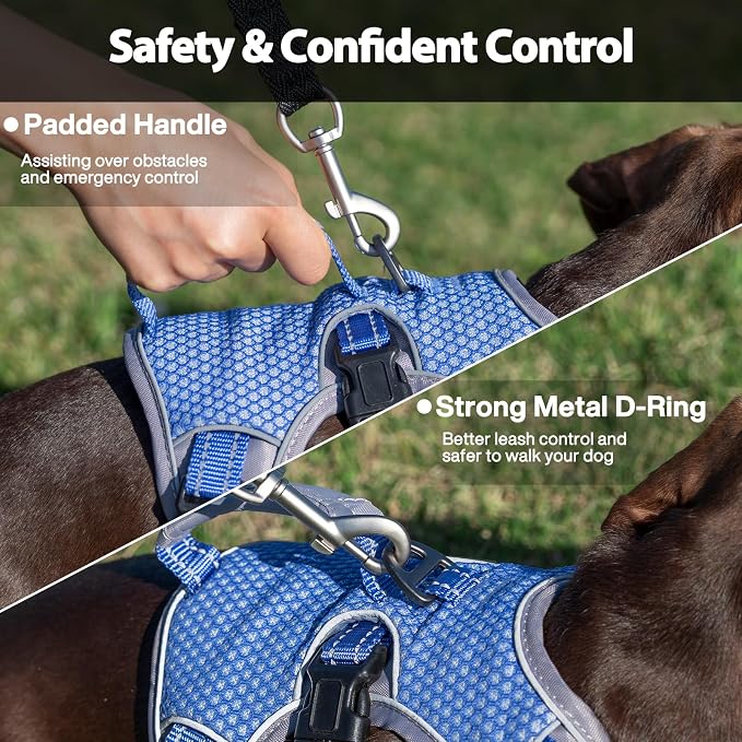 Escape Proof Dog Harness, Dachshund Harness, Reflective Dog Harness with Handle, Durable,Adjustable Vest for Small Medium Large Dogs Walking, Training, and Running Gear (Technicolor Blue,S)
