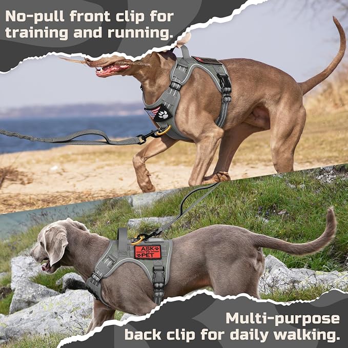 rabbitgoo Tactical Dog Harness for Large, No Pull Military Service Vest | Molle & Handle, Heavy Duty, Adjustable, Reflective Straps, Easy Control for Training Walking, Grey, Large