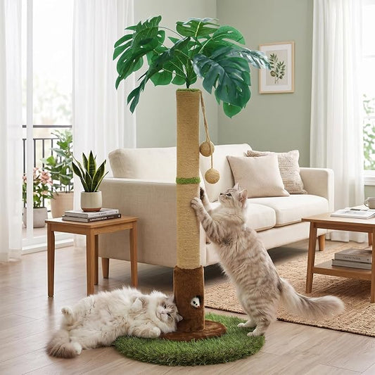 Woochpet Cat Scratching Post for Indoor Cats and Kitten - 35.43" Tall Cat Scratching Post with Sisal Rope,Palm Tree Cat Scratch Post with Hanging Ball