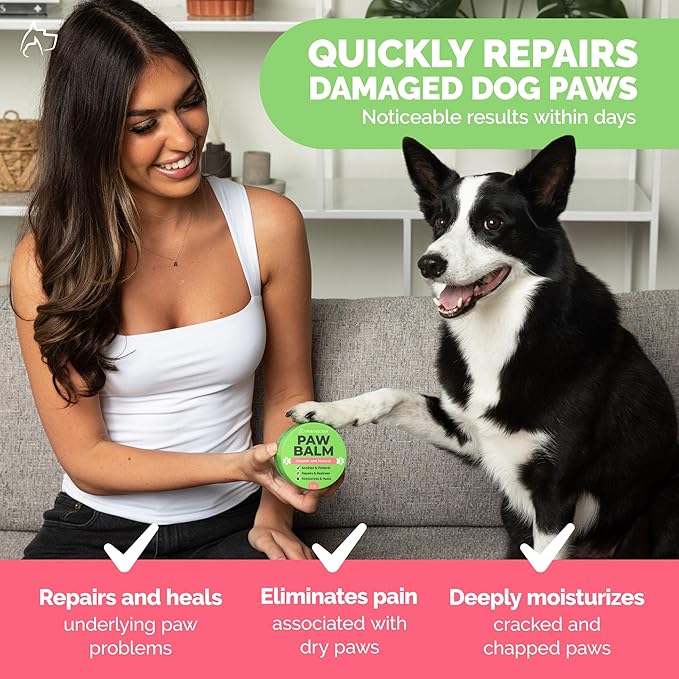 Natural Lick Safe Dog Paw Balm - 100% Organic Dog Paw Pad Balm Protector, Moisturizer & Soother for Dry Cracked Paws, Hot Pavement, Winter - Heals, Repairs & Restores - Coconut Oil, Shea Butter (2oz)