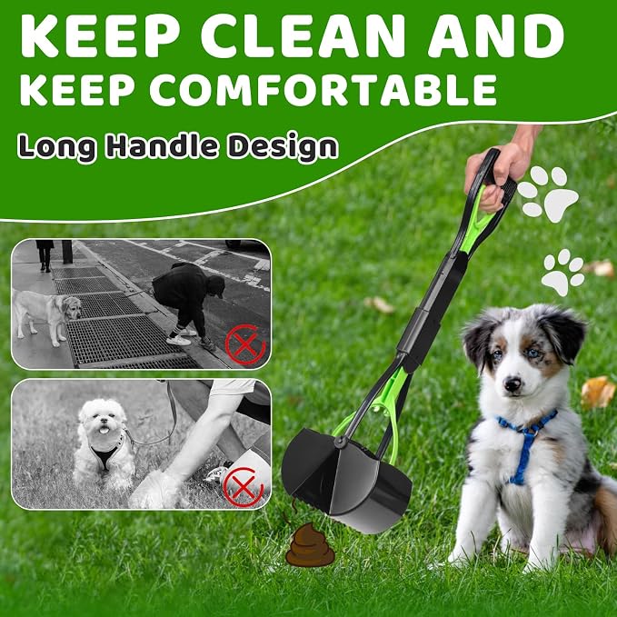 Dog Poop Trash Can Outside - 20L/5Gal Dog Poop Scooper Set, Black | Outdoor Trash Can with Lid and Removable Inner Bin,Dog Waste Trash Can with 100 Bags & Storage Box and Metal Rake & Tray
