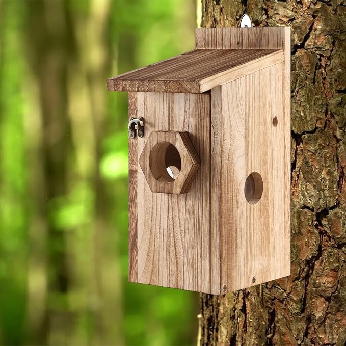 Bird House for Outside –Hanging Birdhouse for Bluebird Finch Swallow Wren Chickadee, Decorative Outdoor Bird Nesting Box with 3 Size Holes, Assembly Required (1)