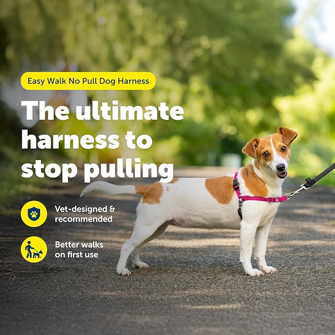 PetSafe Easy Walk Harness, No Pull Dog Harness, Raspberry, Small | Patented Martingale Loop Gives Gradual Shoulder Pressure to Stop Pulling, Front-Chest Leash Clip Prevents Gagging