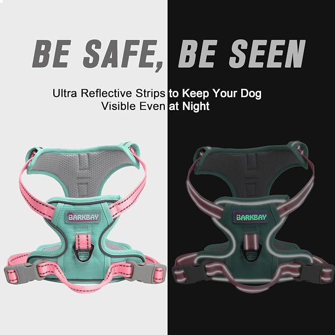 BARKBAY Dog Harness No Pull for Small Sized Dog Front Back Clips,Dog Vest | Soft Padded No Choke With Handle,Easy On&Off,Adjustable Reflective For Walking Training Running(Cool Mint & Baby Pink,XS)