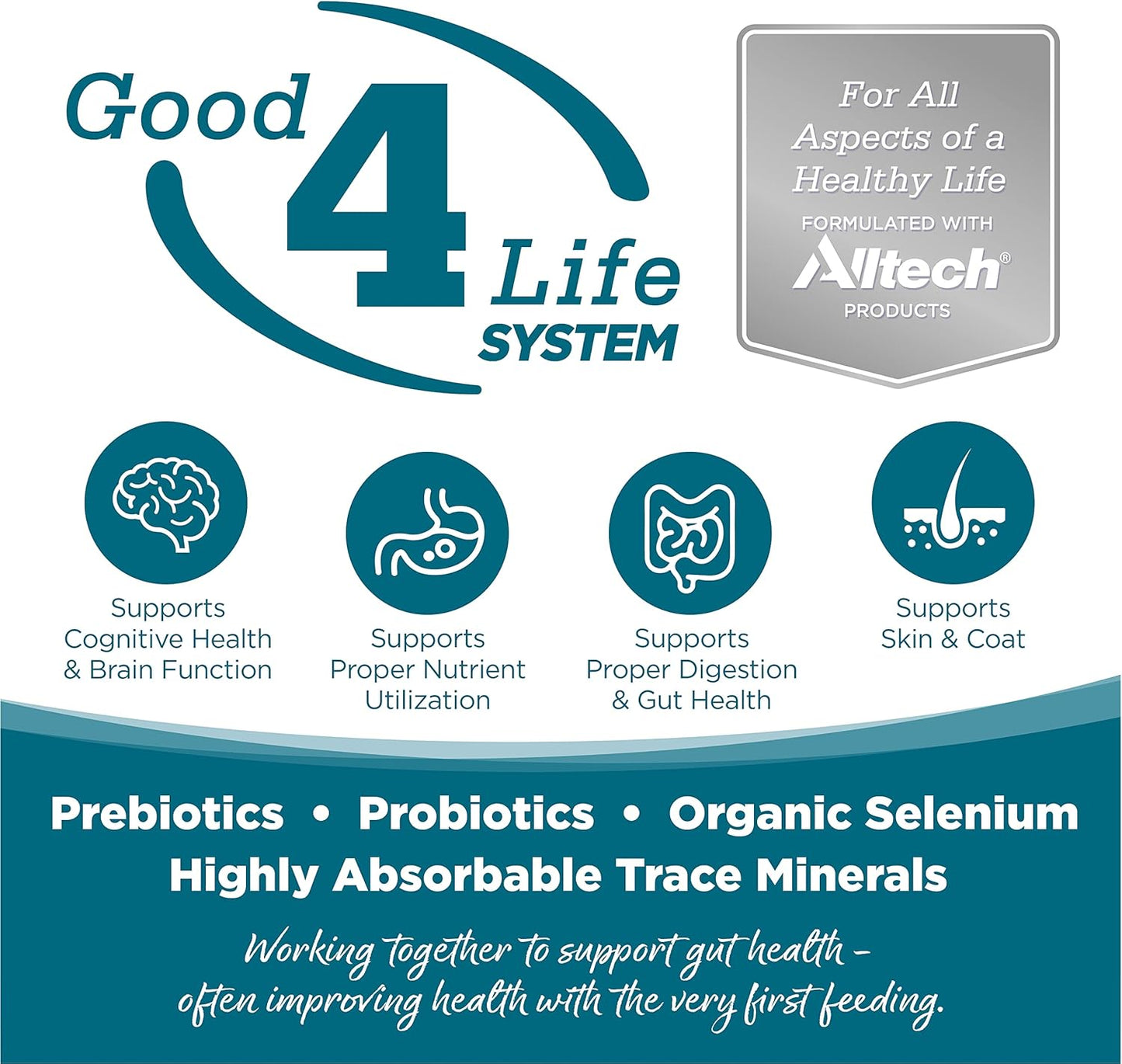 NutriSource Adult Dry Dog Food, Chicken and Rice, 4LB