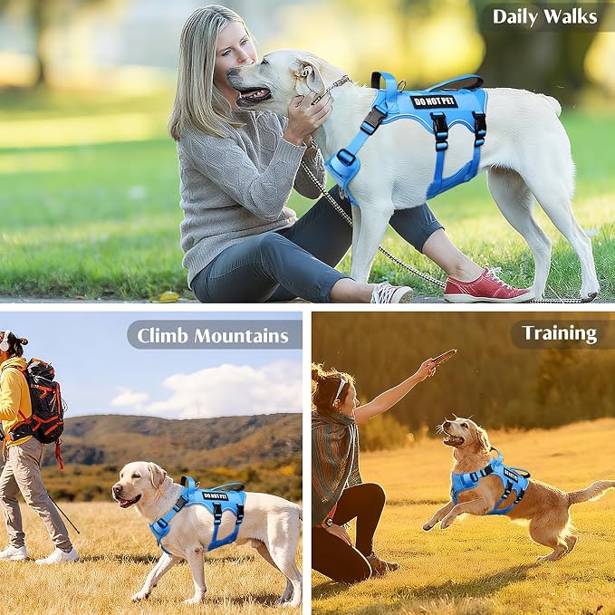 Escape Proof Dog Harness with Double Handle+4 Removable Patches | Service Working Molle Harness with Double Handle for Medium Dogs, Tactical Pet Reflective Vest for Walking Hiking Hunting