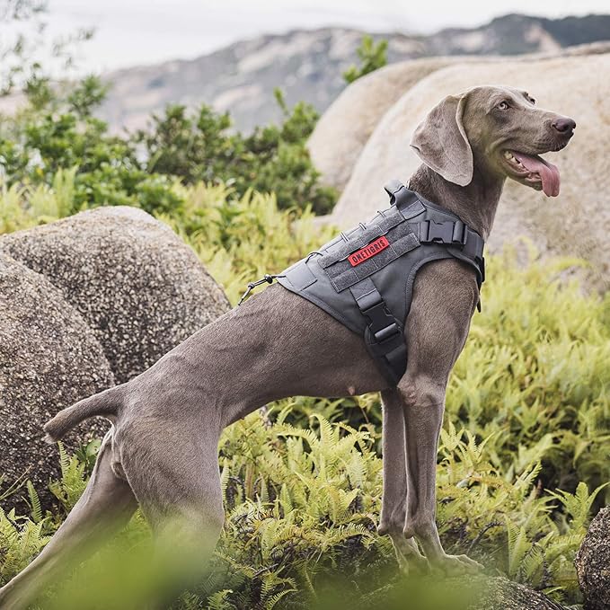 OneTigris Tactical Dog Harness Vest No-Pull Service Dog Vest for Small Dogs | 1000D Pullable Nylon, with Control Handle and Hook & Loop Panels, Easy On & Off, Adjustable for Walking Training Gray S