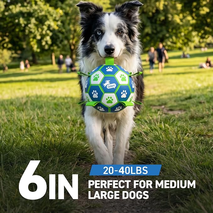 QDAN Dog Toy Balls, Dog Soccer Ball with Straps, Outdoor Dog Toys, Pet Training Soccer for Medium Large (6 Inch)