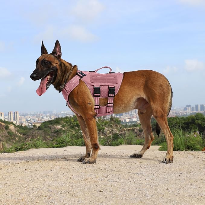 ICEFANG Tactical Mesh Dog Harness for Large Dogs,Reflective Dog Molle Vest | Summer-Cooling, Control Handle,Adjustable,Front Hook,3 Leash Clips,Soft Padded,No Pull,Pink,Large