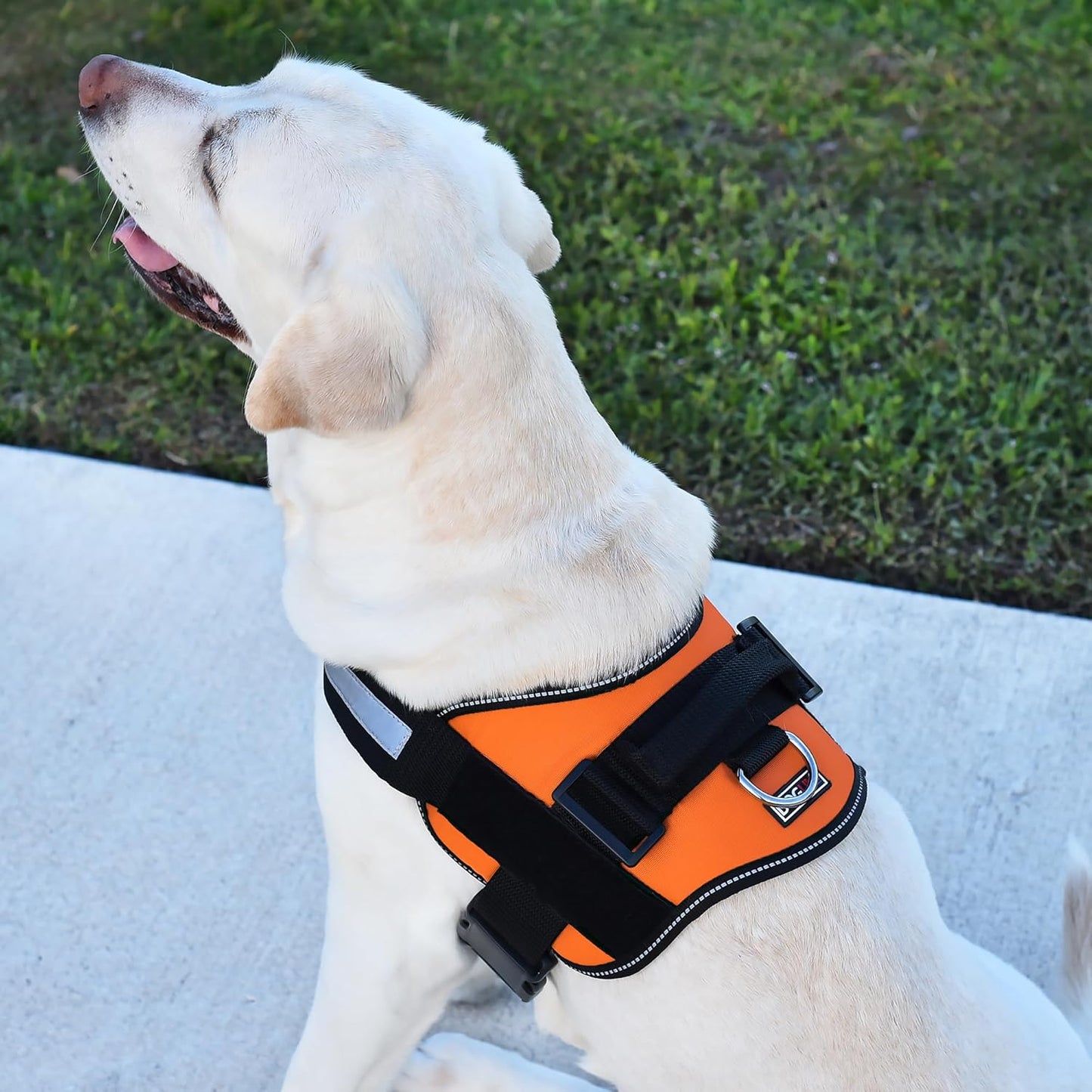 Dogline Dog Harness, Reflective No-Pull Adjustable Vest with Handle for Walking, Training, Breathable, No - Choke Harness for Small, Medium or Large Dogs Room for Patches Girth 22"-28" in Orange