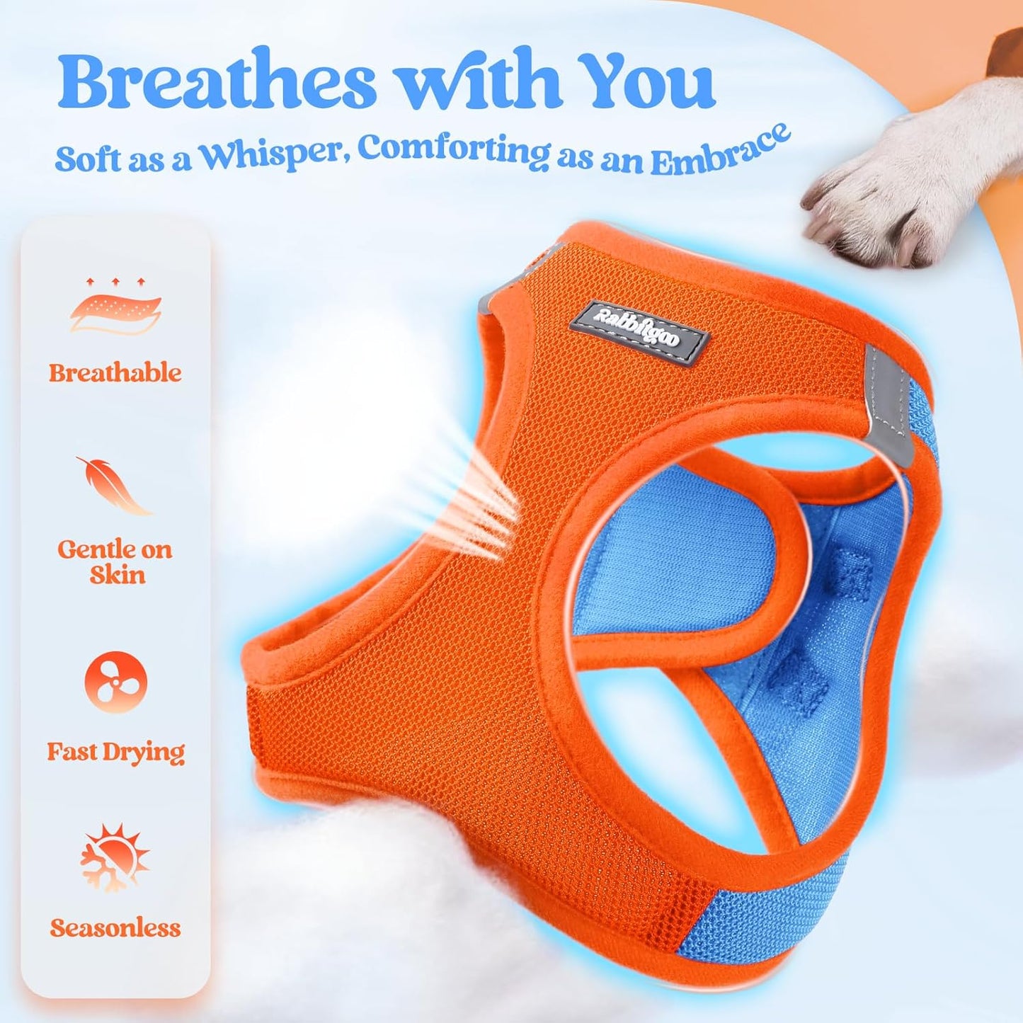 rabbitgoo Dog Harness Small Sized and Leash Set, Step in Soft Light Puppy Vest, Breathable Mesh Pet Harness, Reflective for Safe Easy Walking, Blue & Orange S