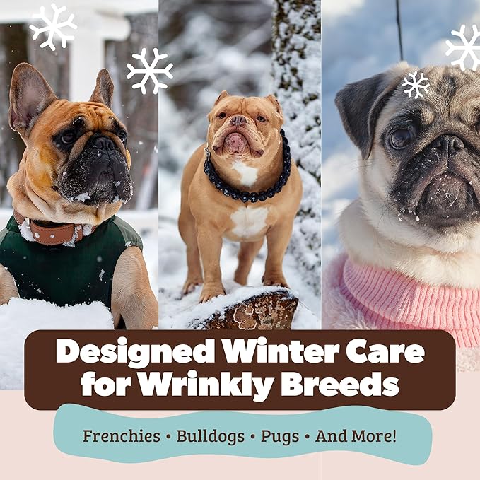 Natural Dog Company Wrinkle Balm, Travel Stick, 0.15 oz, 4 Pack, Dog Lotion for Dry Itchy Skin, Cleans Wrinkles, Yeast Infection Treatment for Dogs, Plant Based, Made in USA