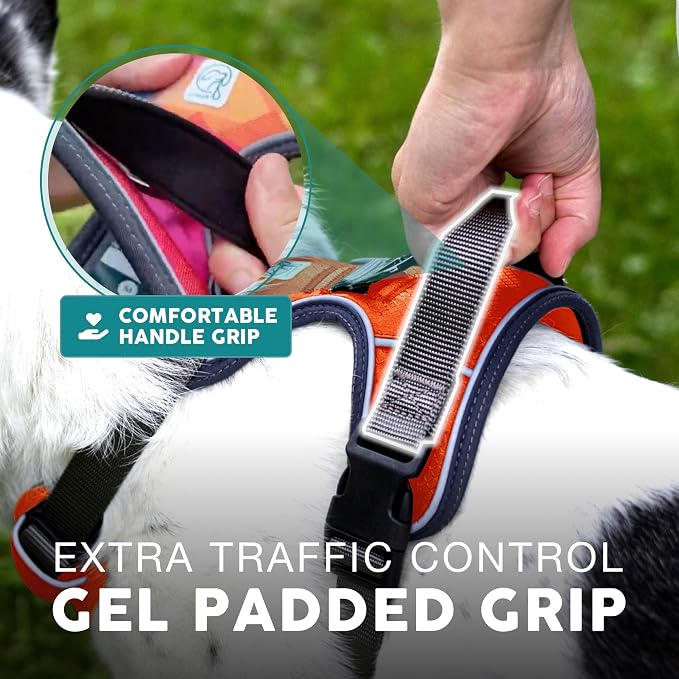Embark No Pull Dog Harness, Reflective Adjustable Training Vest, No Choke | Adjustable straps fit all dog breeds with sturdy hooks; 360° reflective trim, soft padded Harness Design for All Dogs