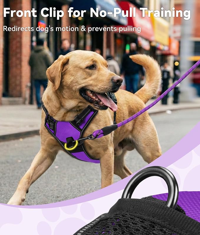 Joytale No Pull Dog Harness for Small Dogs, Front Clip, Purple | Grab Handle for Instant Control, Padded & Adjustable Vest, Sturdy Metal D-Rings, for Safe Training & Daily Walking