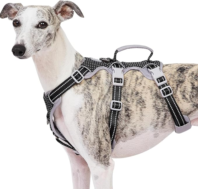 Escape Proof Harness, No Slip Dog Harness Escape Proof, Fully Reflective Harness with Handle, Breathable, Durable, Adjustable Vest for Medium Dogs Walking and Training Gear (Black, M)