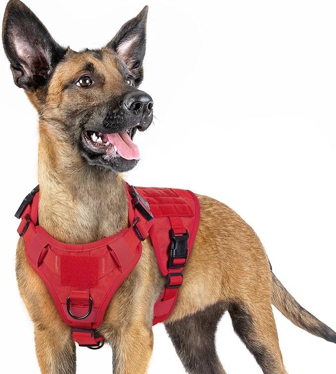 rabbitgoo Tactical Dog Harness for Small, Heavy Duty Military No Pull Vest | Sturdy Metal Buckles, 5 Adjustments, Molle System, Powerful Pullers for Training, Hunting, Outdoor, Red, Small
